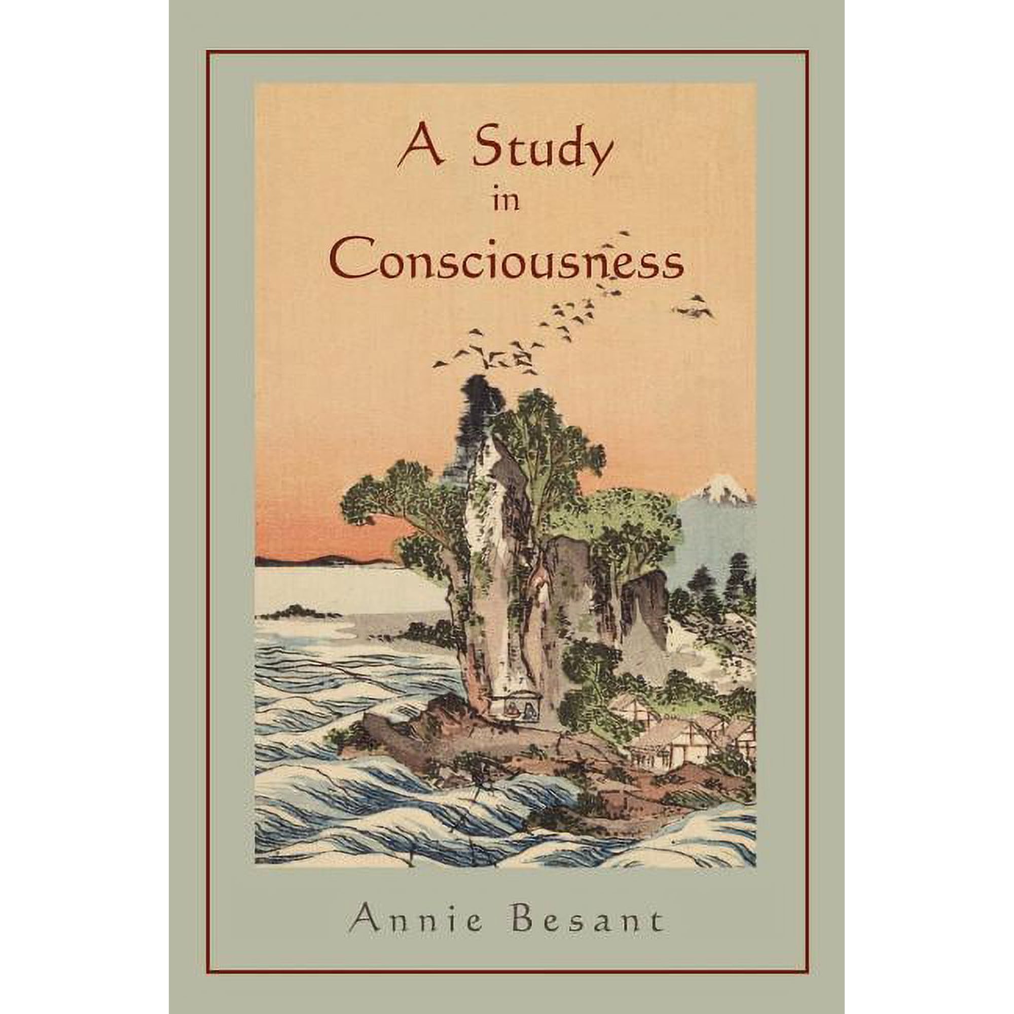 A Study in Consciousness: a Contribution to the Science of Psychology (Paperback)