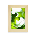 thumbnail image 1 of Sunshine Image Nature Bureau Affichage Photo Cadre Image Art Peinture 5 X 7 Pouces, 1 of 3