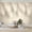 Color 4, variant on Wallpaper Palm Leaves Neutral Beige Tones Minimalist Tropical Boho Style Peel and Stick Wall Murals 69"H x 96"W Removable PVC Wall Paper Self-Adhesive Wall Paintings Art Decor for Bedroom Living Room