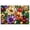 Color 3, variant on 8 Pack Art Acoustic Panels Sound Absorbing Stained Glass sunset cactus western desert landscape Saguaro Decorative Soundproof Wall Panels Self Adhesive for Recording Studios Office 48"x32"
