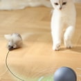 WNGSHA ???BatteryOperated??? Interactive Cat Toy Ball With Tracking Mouse