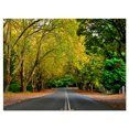 thumbnail image 2 of Road through Stunning Green Verdure - Impression sur Toile Paysage, 2 of 3