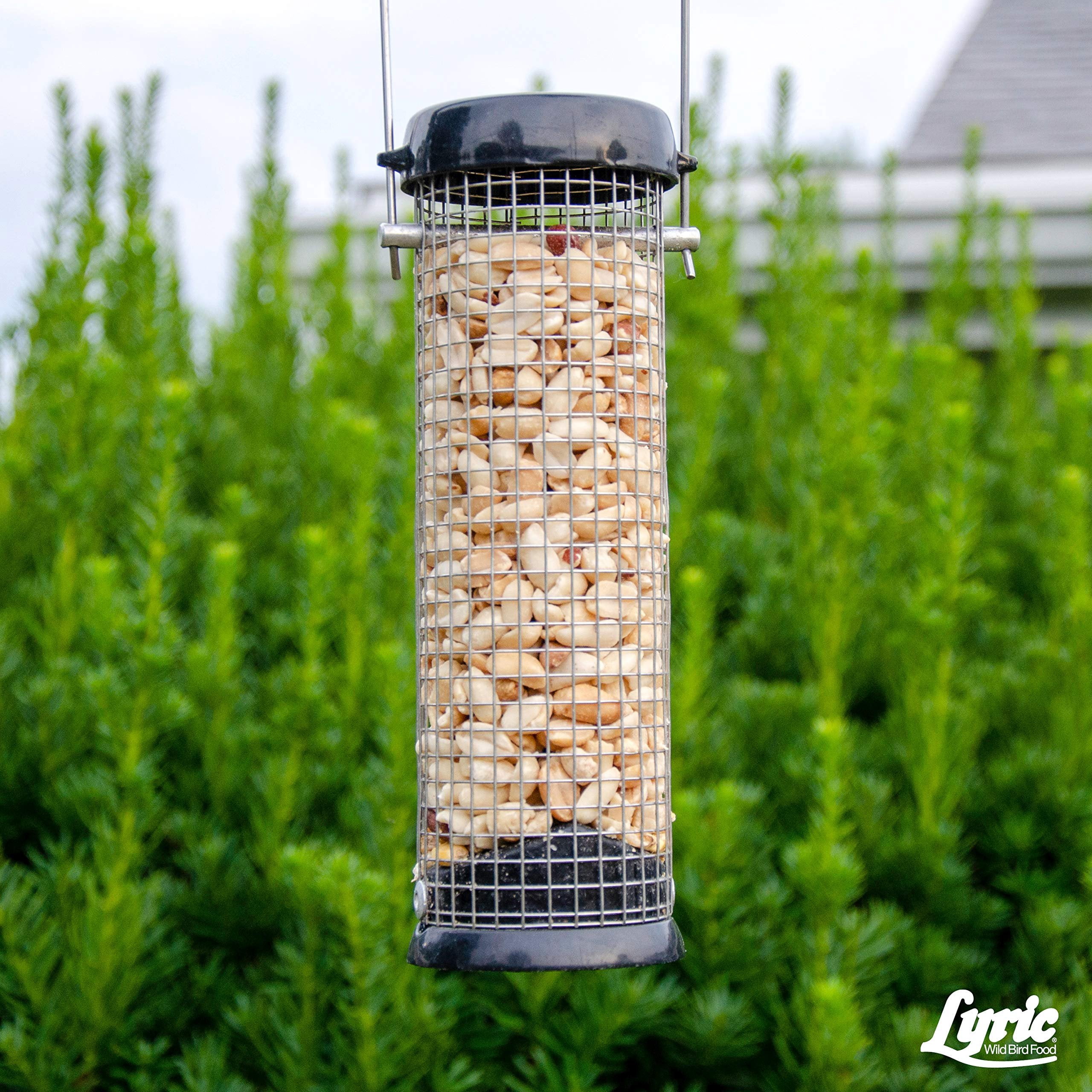 Lyric Peanut Pieces Wild Bird Seed, No Waste Bird Food - 15 lb. Bag
