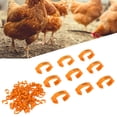 thumbnail image 3 of Anillos Para Patas De Pájaros De Pollo, Retráctiles Usados ​​​​de Manera Flexible Anillos Para Patas De Pollo Hebilla De Identificación Con Números Para Exteriores Para Aves, 3 of 7
