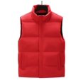 thumbnail image 1 of Chaleco de algodón para hombre, ropa exterior de estilo primaveral y otoñal, ropa de algodón, chaleco de cuello moderno para hombre, chaleco de otoño e invierno, chaqueta, 1 of 6