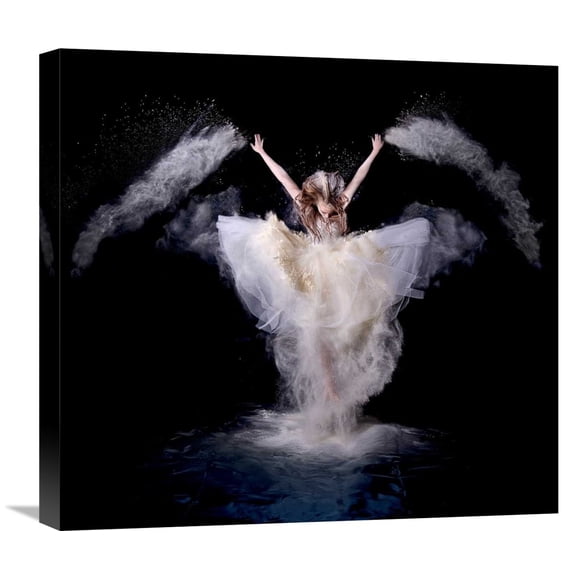 Pentony Bapauline 'Powder Rush' Canvas Wall Art