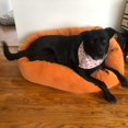 thumbnail image 3 of Dog Bed  Soft Comfortable Sleeping Mat  Personalized Bedding Supportive Cushion Custom Embroidered  Small Brown, 3 of 4