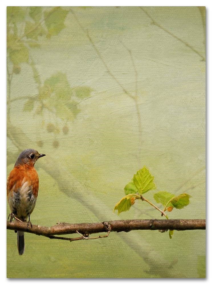 Trademark Fine Art 'Bluebird in Spring' Multi-Panel Canvas Art Set by Lois Bryan