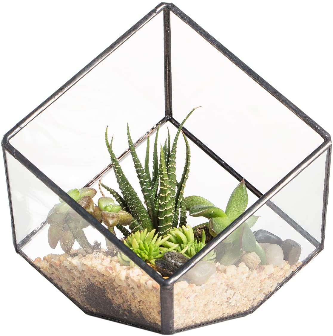 Tilted Cube 6-Inch Geometric Glass Terrarium Display Box 