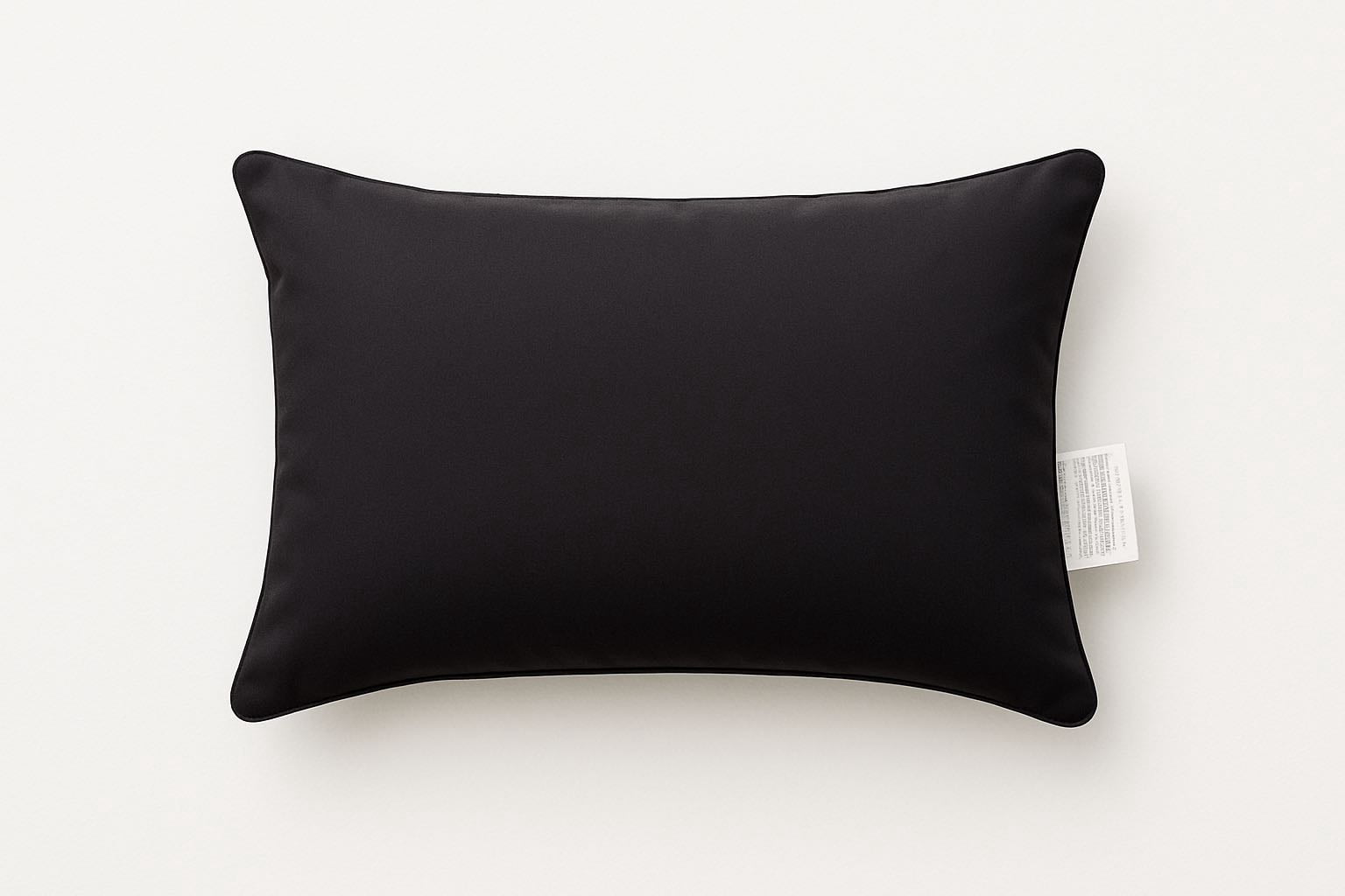 Lexi Black Rectangular Outdoor Throw Pillow （Set of 2)