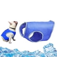 thumbnail image 4 of CHOK Pet Medium Megalast Ball Dog Toy, 4 of 10