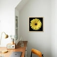 thumbnail image 4 of Yellow Gerbera Daisy, Botanical Framed Art Print Wall Art by Jim Christensen Sold by Art.Com, 4 of 5