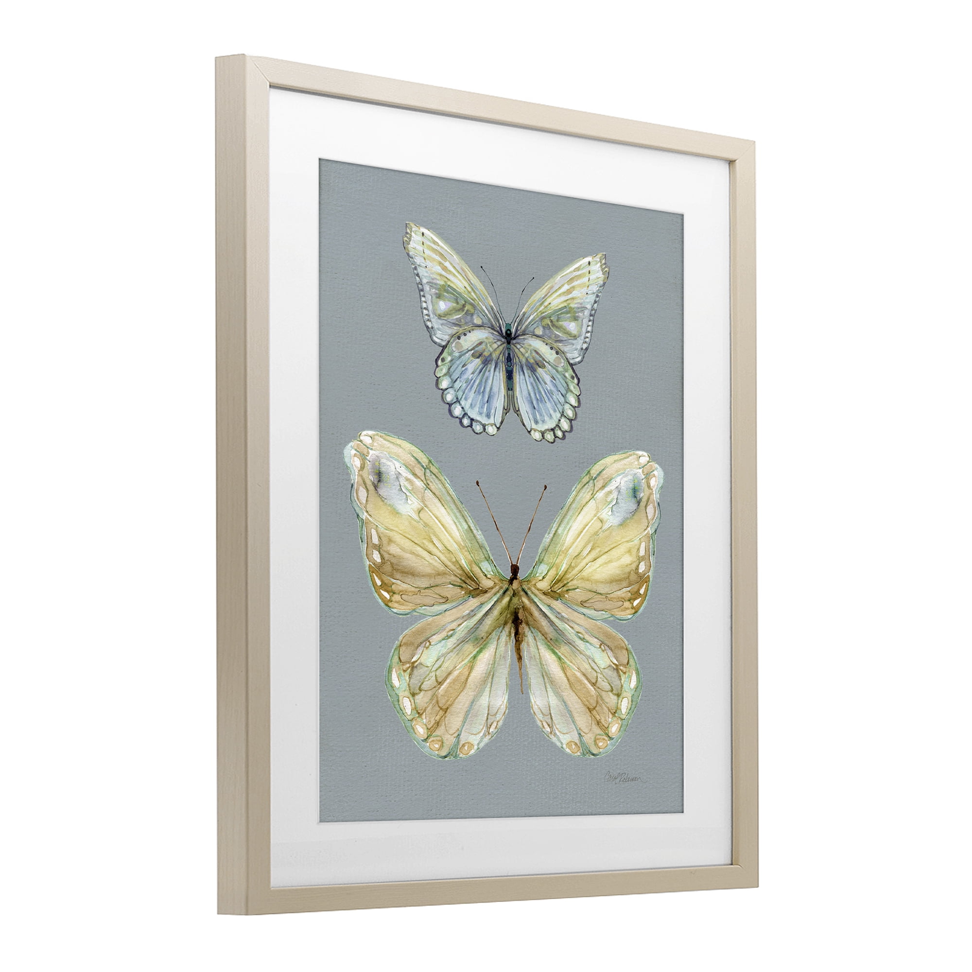 Stupell Industries Delicate Butterflies on Slate Birch Framed Print Under Glass, design by Carol Robinson