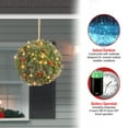 thumbnail image 5 of National Tree Company Pre-Lit Artificial Christmas Kissing Ball, Green, Crestwood Spruce, Decorated with Berry Clusters, Pine Cones, Frosted Branches, Christmas Collection, 16 Inches, 5 of 5