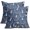 Blue, variant on Lime Green Fall Pumpkin Pillow Covers 20x20 Set of 2 Autumn Themed Thanksgiving Cream Print Decorative Throw Pillows Outdoor PillowCase Farmhouse Linen Cushion Case Decor for Home Sofa Couch Bed