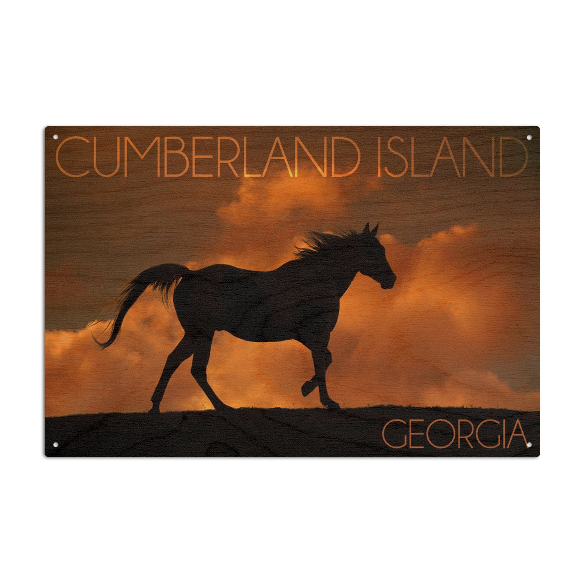 Cumberland Island, Horse and Sunset(James T. Jones) Birch Wood
