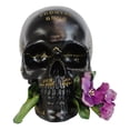 thumbnail image 3 of Ebros Paranormal Pentagram Colonial Witch Salem Map Skull Statue 7" Long, 3 of 8