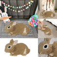 thumbnail image 1 of JUNWELL Rug Hopes You Like Ms Rachels Doormat Housewarming Gift Front Door Decor Good Doormat Funny Door  Porch Decor Closing Gift, 1 of 9