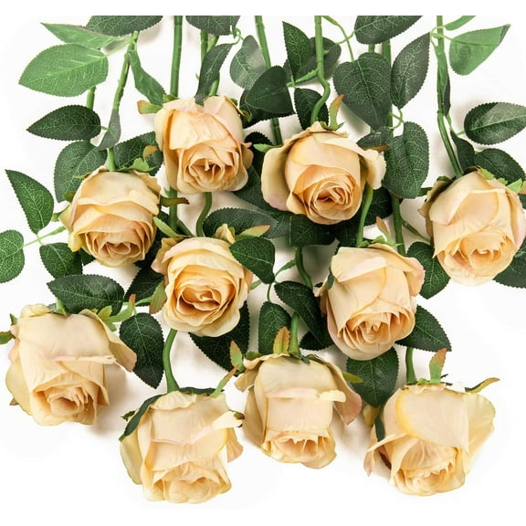 Nvzi 10pcs Artificial Rose Flowers Long Stem Fake Silk Roses for DIY Wedding Bouquet Home Decor (Champagne)