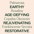 thumbnail image 5 of Plant Therapy Anti Age Essential Oil Blend 5 mL (1/16 oz) 100 percentage Pure, Undiluted, for Fine Lines, Wrinkles, and Elasticity., 5 of 8