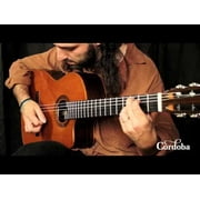 Fusion Orchestra CE Nylon String Acoustic-Electric Guitar