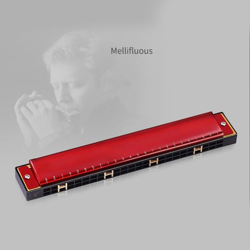 CEORPER Professional 24-Hole Harmonica Competition Mouth Organ for Student Beginner