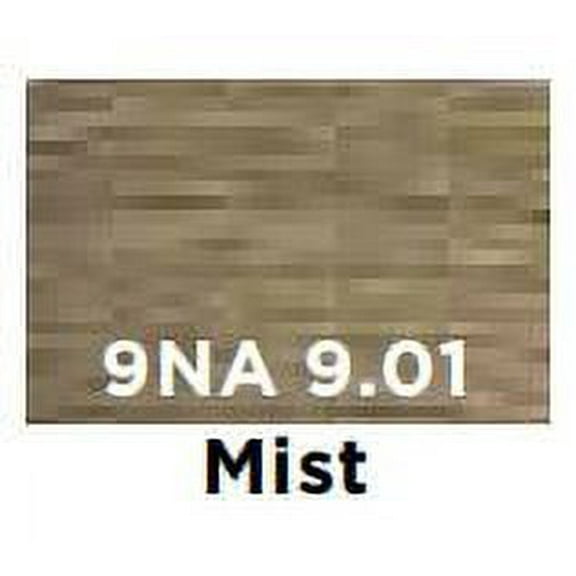 Redken Color Gel Lacquers - 9NA/ 9.01 Mist - Pack of 1 with Sleek Comb