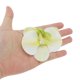 thumbnail image 4 of Ganchos para el cabello de perlas falsas de 2 piezas con clip de pico de pato para mujeres, flores Phalaenopsis en blanco y verde, 4 of 5
