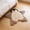 B, variant on Cute Penguin Shaped Rug 23.62x23.62 in, Soft Floor Mat, Decorative Area Rug, Cozy Bedroom or Lounge Mat Ideal Gift for Animal Lovers