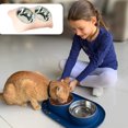 thumbnail image 4 of Laklulu Cuenco para perros y gatos, cuenco integrado para comida para gatos, cuenco para perros y gatos, cuenco de acero inoxidable para alimentación de mascotas, 4 of 5