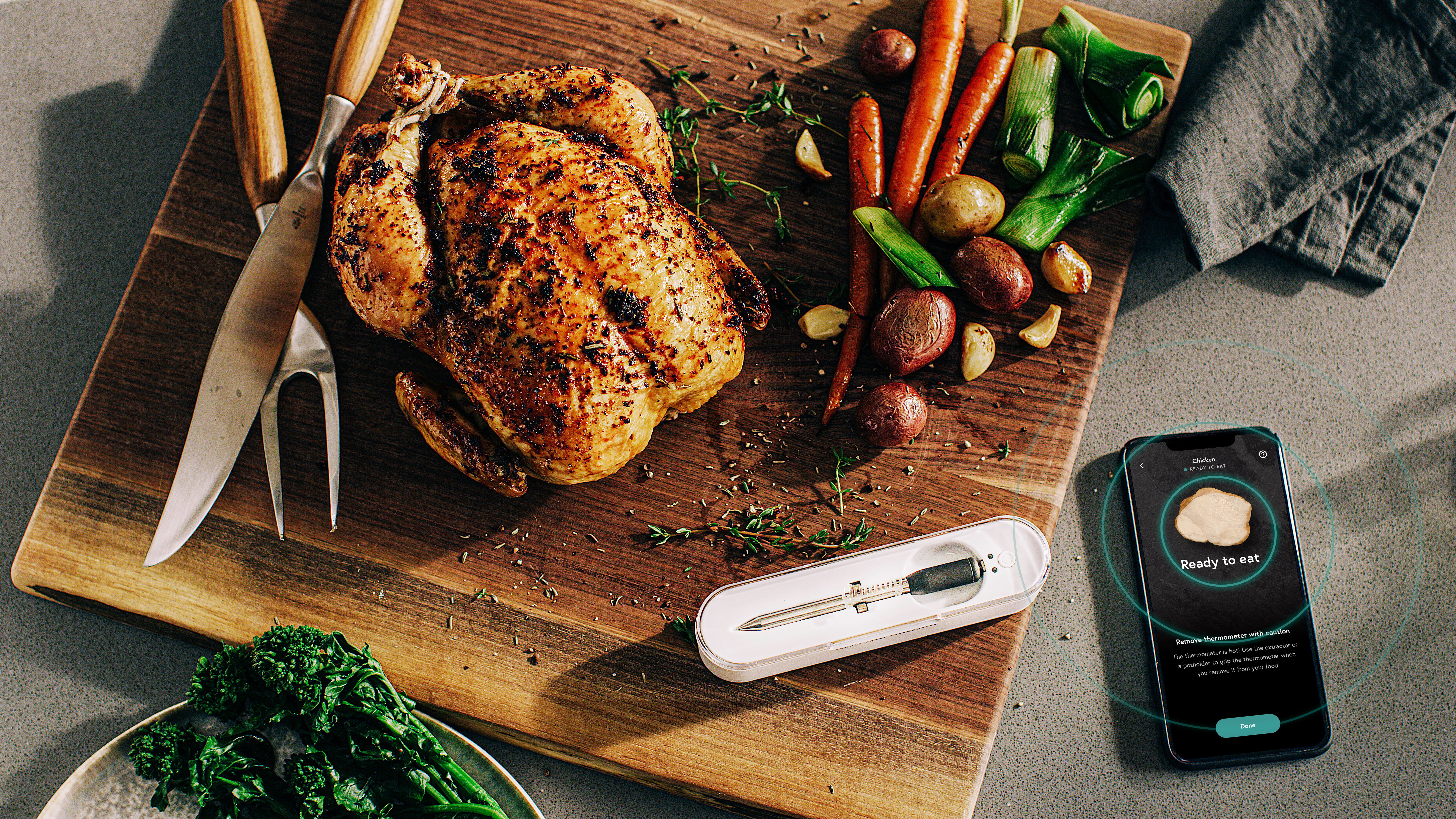 Yummly® Smart Meat Thermometer with Wireless Bluetooth Connectivity 