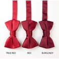 thumbnail image 3 of Spring Notion Boys' Pre-tied Banded Satin Bow Tie X-Large Red, 3 of 5