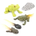 thumbnail image 4 of Animal Growth Cycle Biological Model,Growth Stage Lifelike Animals Life Cycle Model for Children, 4 of 7