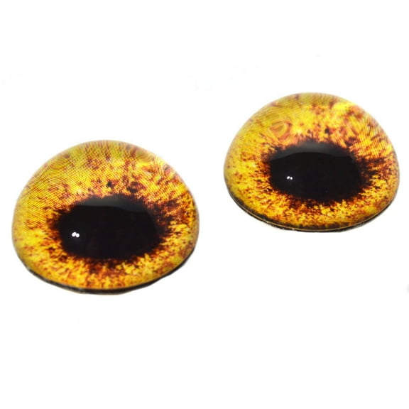 High Domed Hen Harrier Chicken Glass Eyes