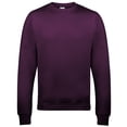thumbnail image 1 of Awdis - Sudadera lisa con cuello redondo Unisex (Ciruela), 1 of 2