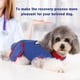 thumbnail image 4 of Traje de recuperación para perros después de una cirugía Heridas abdominales para cachorros Ropa posoperatoria Cono de collar isabelino Sustituto de chaleco protector para mascotas, 4 of 9