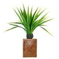 thumbnail image 1 of 57 in. Agave Plant with Resin Planter, 1 of 3