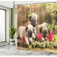 thumbnail image 5 of Ambesonne Pug Shower Curtain, Sibling Puppies Flowers, 69"Wx70"L, Fern Green Eggshell, 5 of 5