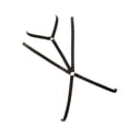 thumbnail image 3 of Qarigey Sujetadores sin copa, moldeador de cuerpo multicolor, ropa de mujer, vendaje erógeno, lencería misteriosa, sujetador de diseño Simple gótico Disfraces de disfraces Negro Qarigey AP008768-01, 3 of 6