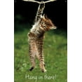 thumbnail image 5 of Famous Kitten Hang In There Poster Wall Poster, 22.375" x 34", 5 of 5