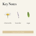 thumbnail image 3 of Difusor Reed LAFCO New York Signature, manzanilla y lavanda, 450 ml, 3 of 6
