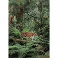 thumbnail image 2 of Great Art Now In the Jungle by Pangea Images, Canvas Wall Art, 20W x 28H, 2 of 2