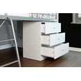 Talia Storage Loft Bed with a Desk, Multiple Colors