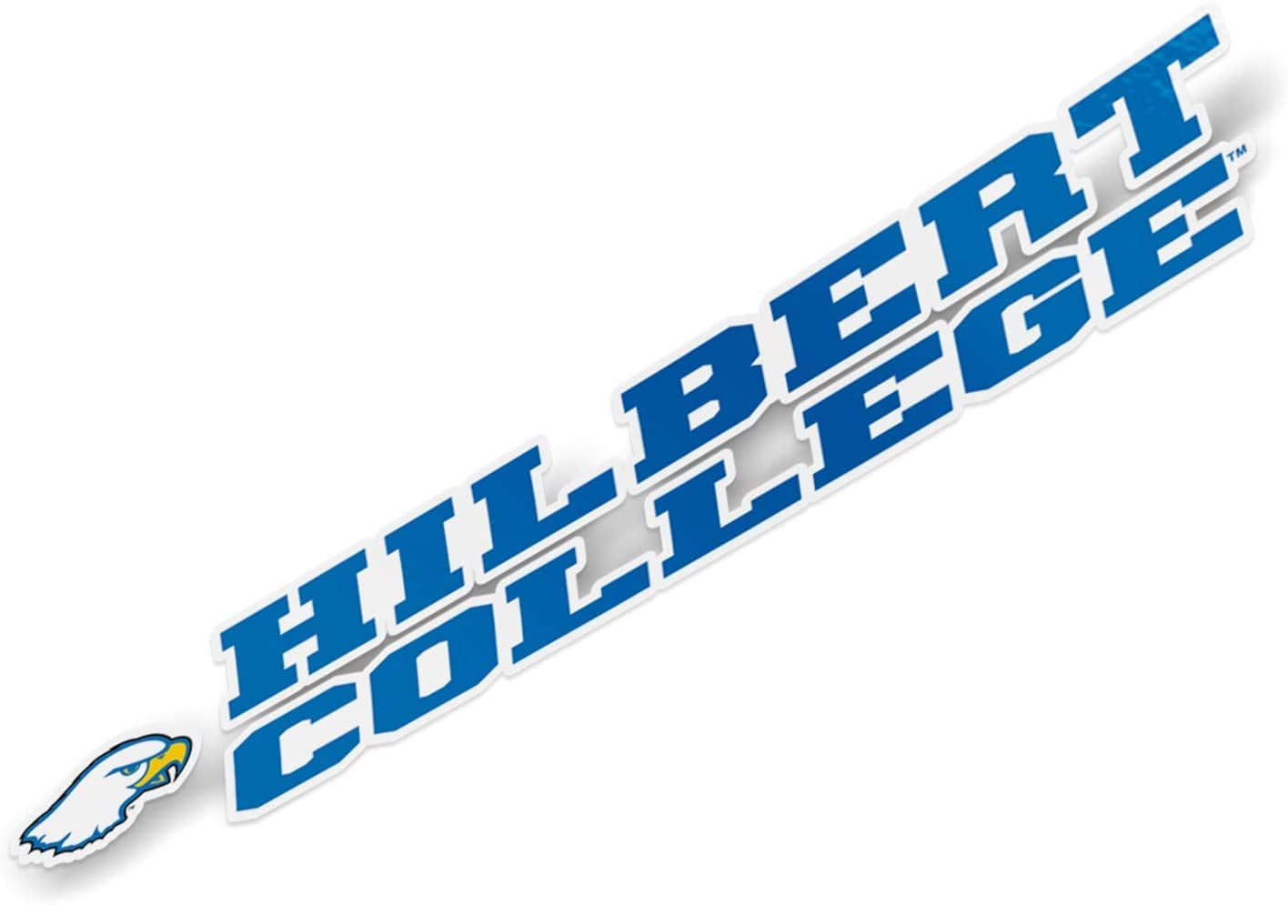 Hilbert College Hawks NCAA Name Logo Vinyl Decal Laptop Water Bottle ...