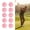 Pink, variant on Riousery Pink EVA Foam Golf Balls Soft Practice Training Balls for Indoor Outdoor Use, 2.6 inches / 65mm Diameter, 10 Pack Lightweight Swing Training Accessories