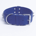 thumbnail image 2 of AMSTERDAM SPIKE Leather Dog Collar Multi- Row Spikes, 2 of 4