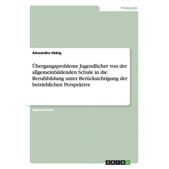 Übergangsprobleme Jugendlicher in die Berufsbildung (Paperback)