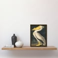 thumbnail image 2 of John James Audubon Style Pelican Bird Vintage Detailed Illustration Artwork Framed Wall Art Print A4, 2 of 4
