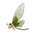 thumbnail image 2 of 6 uds. Broche de libélula con diamantes de imitación de cristal, joyería, cristal de libélula y mariposa, 2 of 5