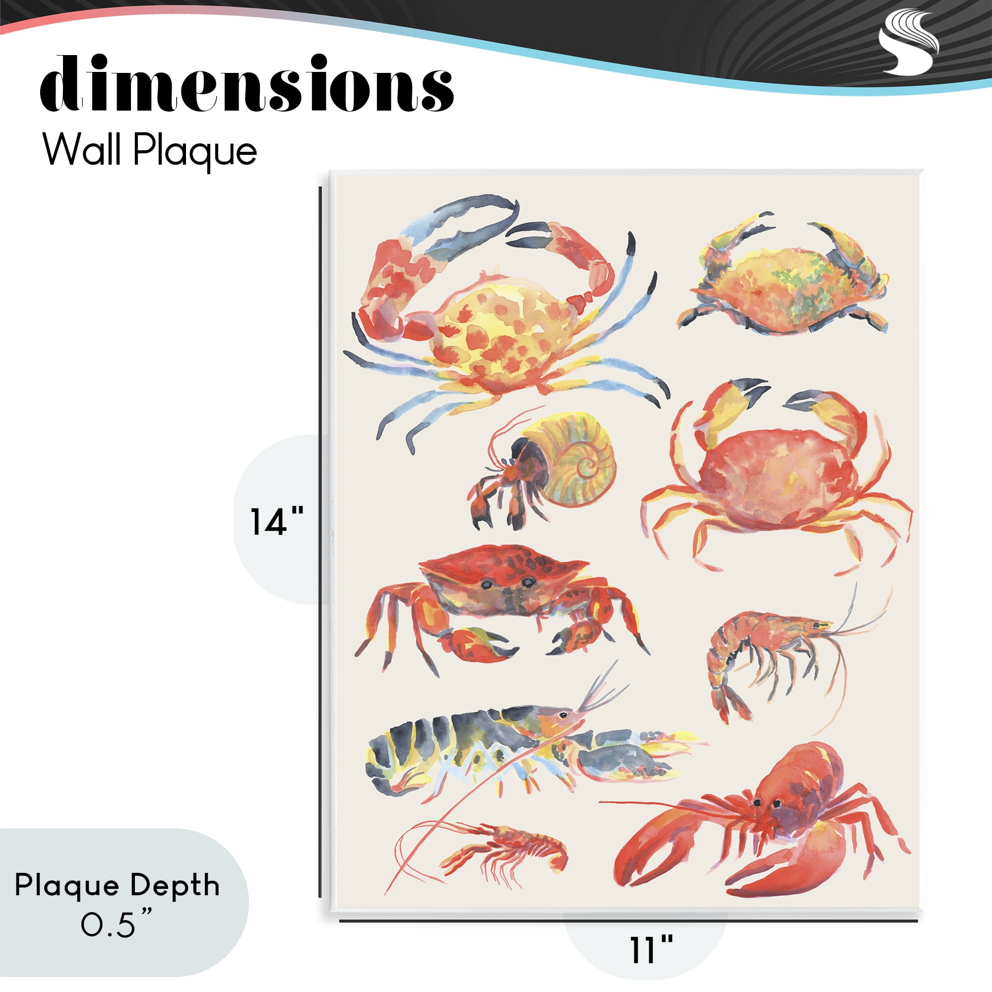 Stupell Industries Nautical Crustacean Collection Wall Plaque Art, design by June Erica Vess